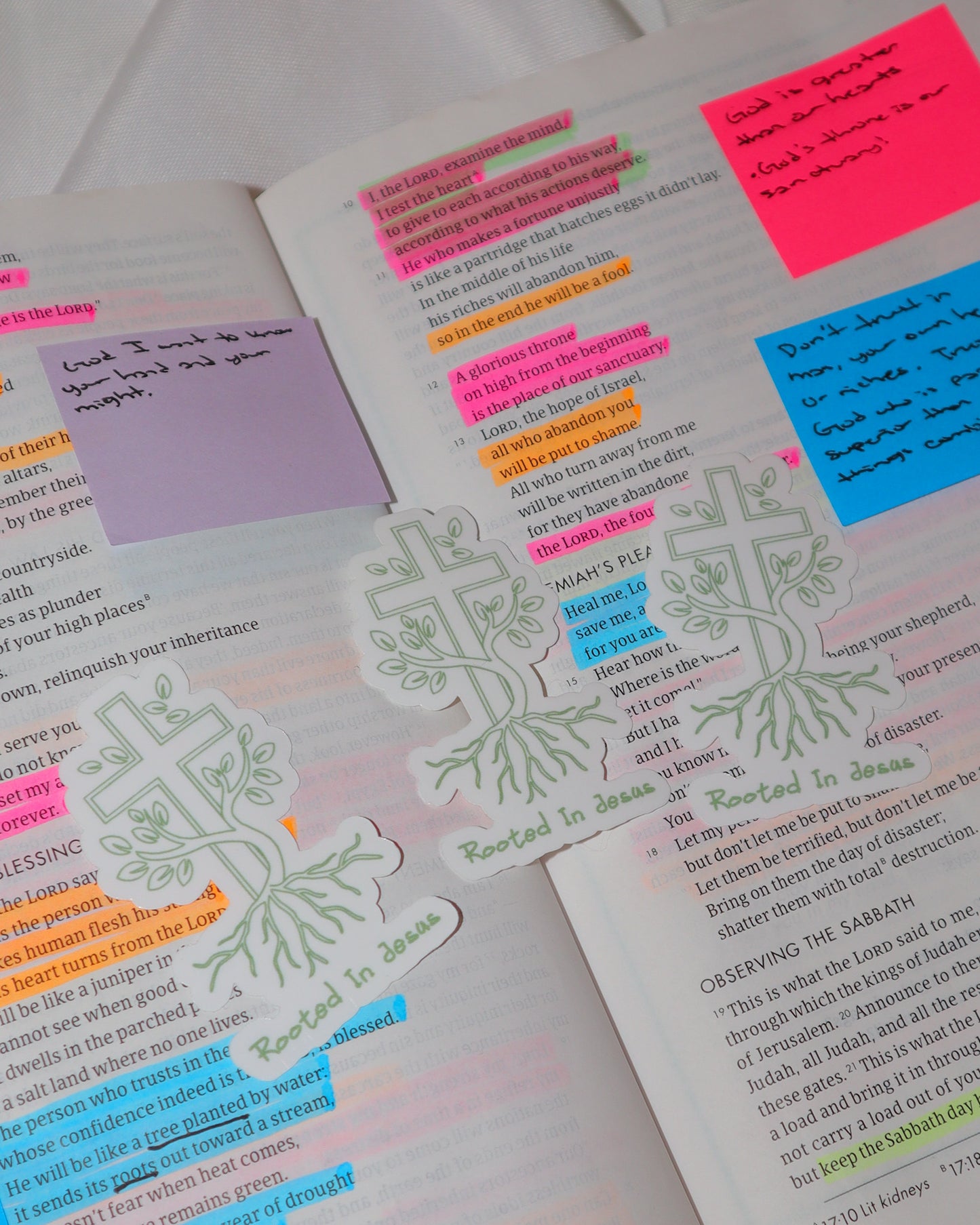 Rooted In Jesus Sticker