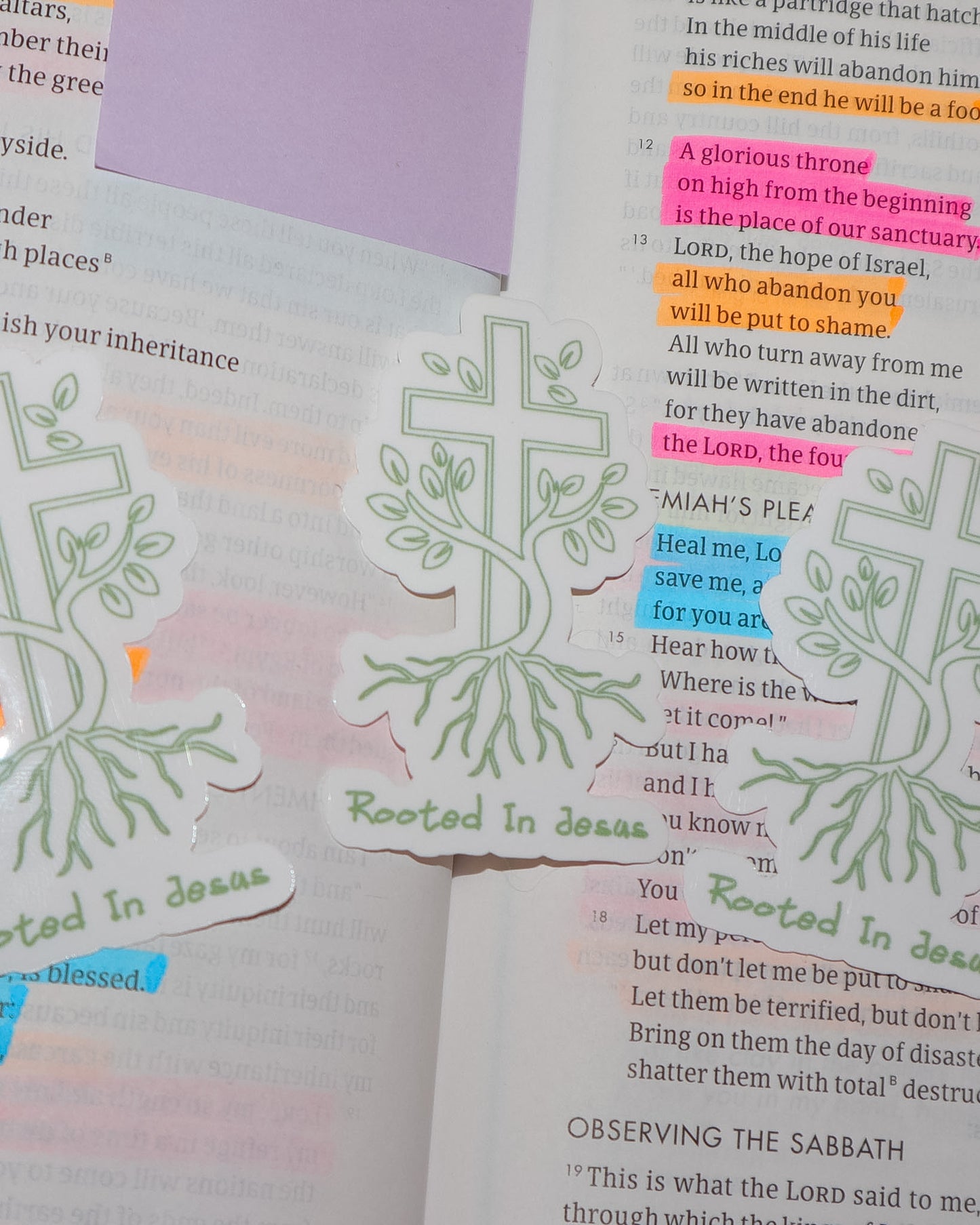 Rooted In Jesus Sticker